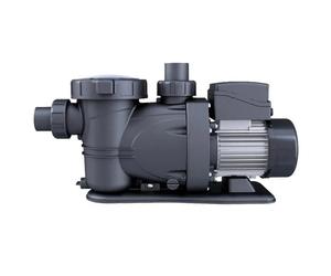 GRE PP202 Bomba Centrífuga Autoaspirante, 2 HP, con Prefiltro Incorporado y Tapa Transparente