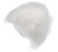 Greabuy Cabeza de perro realista para práctica de pelo sintético para mascotas, para el aseo de perros, entrenamiento escolar y técnicas de peinado, accesorios realistas de práctica de corte de pelo