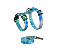 Greabuy Juego de equipo de caminar delgado y ventilado para gatos de 50 g, cuerda reflectante, clip seguro para adultos con cinta de conjuración