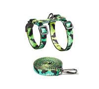 Greabuy Juego de equipo de caminar delgado y ventilado para gatos de 50 g, cuerda reflectante, clip seguro para adultos con cinta de conjuración