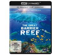 Great Barrier Reef 4K - Ultimate Freedive (4K Ultra-HD) [Blu-ray]