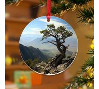 Great Basin National Park - Adorno de Navidad para amantes de la naturaleza o viajero, recuerdo de granja, discos acrílicos transparentes, parque natural, paisaje, bola de Navidad para decoración de