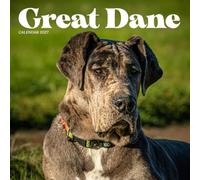 Great Dane Dog Calendar 2027: Gentle Giants and Loyal Eyes
