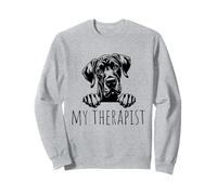 Great Dane Funny Dog Owner Sudadera
