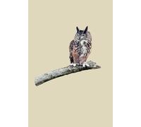 Great Horned Owl: 6 x 9, 120 Pages, Lined, Writing Journal