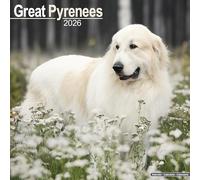 Great Pyrenees Calendar 2026 Square Dog Breed Wall Calendar - 16 Month