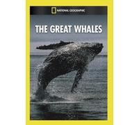 Great Whales [Edizione: Stati Uniti] [USA] [DVD]