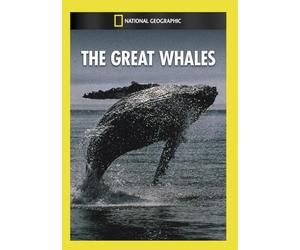 Great Whales [Edizione: Stati Uniti] [USA] [DVD]