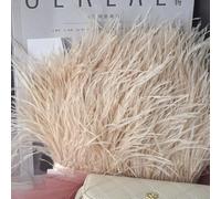GreatRise 1 m de plumas de avestruz natural, pasamontañas de peluche para manualidades, plumas flecos, cinta de raso, sombreros para decoración de ropa, color beige, #3 8-10 cm