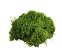 GreatRise Musgo artificial de 500 g para manualidades, musgo decorativo verde falso como real, lavable y esponjoso, para musgo, pared de musgo, macetas, jardín en miniatura, decoración de fiesta de