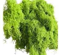 GreatRise Musgo artificial de 500 g para manualidades, musgo decorativo verde falso como real, lavable y esponjoso, para musgo, pared de musgo, macetas, jardín en miniatura, decoración de fiesta de