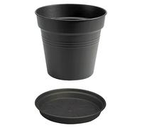 Green Basics Maceta para planta + plato redondo (Dimensiones externas (Ø x Al): 17 x 16 cm, Plástico, Negro)
