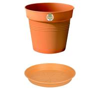 Green Basics Maceta para planta + plato redondo (Dimensiones externas (Ø x Al): 24 x 22 cm, Plástico, Terracota)