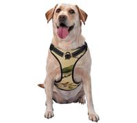 Green Bird On The Branch Of Ancient Tree - Arnés para perro, ajustable, reflectante, Oxford, fácil control, tamaño mediano y grande