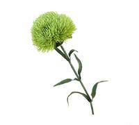 Green Carnation - Flor sintética para mejorar el espacio vital con pétalos suaves al tacto y tallo flexible para posicionamiento personalizado (verde)
