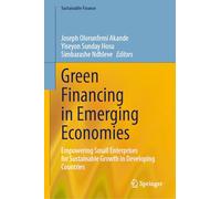 Green Financing in Emerging Economies: Empowering Small Enterprises for Sustainable Growth in Developing Countries (Sustainable Finance)