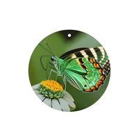 Green Leaf - Juego de ambientador colgante de mariposa colorida, tarjetas redondas de fragancia de lavanda para interior de automóviles, paquete de 10/24 tarjetas