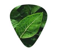 Green Leaf Nature - Juego de 12 púas para guitarra, incluye 3 grosores de púas para guitarras acústicas, ukeleles y más.