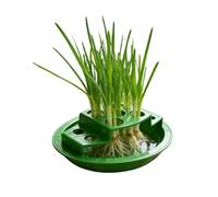 Green Onion Kit - Soil Free Root Growing Rack Stand, Indoor Scallion Propagation Box, Reusable Sprouting Container | Kitchen Window Patio Balcony Gardening Vegetable Regrowth System Home