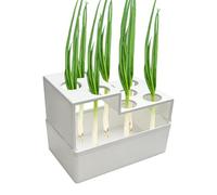 Green Onion Regrower -resin 14x7.5x7cm | Breathable Multi-Hole,Scallion Planter Indoor Growing,Outdoor Window Counter Garden Balcony Vegetable Hydroponic Facilitating Seamless Year-round Scallion Prod
