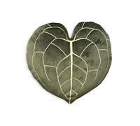 Green Philosophy Co. Anthurium Clarinervium Leaf - Almohada decorativa (verde caqui)