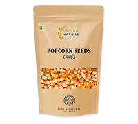 Green Velly Organic Nature Popcorn Kernels Seed (Pack of 500 Gram)
