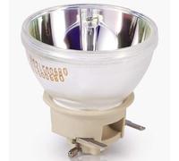 GreenBale 5J.JKV05.001 Bombilla de Lámpara de Proyector para BenQ HT5550 HT2550 MW550 MH550 MX808ST TK800 TH585 W1800i W5700S MW605 MW809ST MW826ST W1700 W1720 MS550 MX550 MX604 MX825ST MH733 MW612