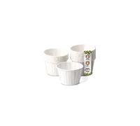 GREENBOX Vasos de papel de 60 ml, color blanco, cuenco sostenible para salsas y salsas, taza blanca de papel encerado, biodegradable y sin plástico, de materiales reciclados, 250 unidades