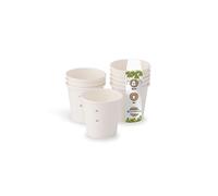 GREENBOX Vasos de papel orgánicos, desechables, vasos de papel, vasos compostables y biodegradables, color blanco, sin imprimir, ecológico, 50 unidades, 50 ml, 2 oz