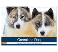 Greenland Dog - The Sled Dogs of Northern Greenland (Wall Calendar 2026 DIN A3 landscape), CALVENDO 12 Month Wall Calendar: A portrait of an arctic dog race