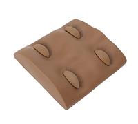 Greensen Poseo de Extensión de Pestañas Postizas Cabeza de maniquí Realista para Entrenamiento Modelo de Simulación 3D de Injerto Novato para Maquillaje y Masaje (BROWN)