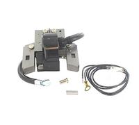 Greenstar 28429 - Motor de bobina electrónica brigg/stratton 5 hp