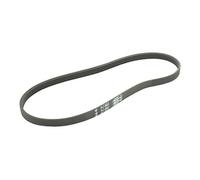 Greenstar 32931 - Hutchinson pj, mano elástica correa poly-v 9.36 x 307 mm = 4 dientes