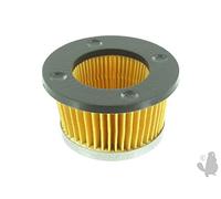 Greenstar 5424 - Filtro de aire para John Deere/Tecumseh