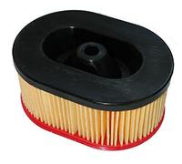 Greenstar 5446 Filtro de Aire para Partner K650 Active/K700 Active 121 x 86 x 53 mm