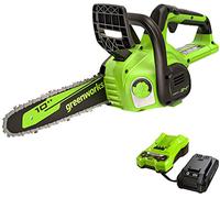 Greenworks Motosierra con batería, 24 V, cadena de 25 cm, ligera, con batería de 2,0 Ah y cargador de 2 A
