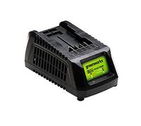 Greenworks 24V Lithium Ion Battery Charger 29862, Color May Vary