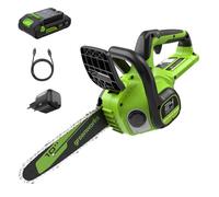 Greenworks 24V Sierra de Cadena Inalámbrica Brushless, Sierra Eléctrica 25cm con Batería 2Ah y Cargador USB C 30W, Aceitero Automático, Velocidad de Cadena 7.8m/s