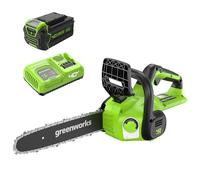 Greenworks 30cm Motosierra a batería, lubricador automático + Greenworks Batería 40V 4Ah, Carga Rápida, Control de Carga LED 3 Etapas+ Cargador de Batería 40V