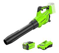 Greenworks 40 V Soplador inalámbrico, Volumen de Aire 14,2 m³/ min, Velocidad del Aire 193,1 km/h, Velocidad Infinitamente Variable (con 2Ah Batería y Cargador)