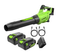 Greenworks 48V(24V x 2) Soplador de Hojas a Batería Axial, con Motor sin Escobillas, Función Turbo, 217 km/h, 16,4 m³/min Dos de Las Baterías de y Cargador, Garantía de 3 Años BL48L420-01