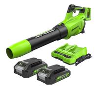 Greenworks Soplador de hojas inalámbrico axial (Dos Baterías de 2x24V 225km/h velocidad aire soplador axial potente c/control electrónico de velocidad con batería 2x2Ah y cargador de doble ranura)