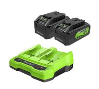 Greenworks Batería USB de 24 V 4 Ah (Paquete de 2) Kit de Inicio + Cargador rápido de Doble Puerto (Piezas Originales Greenworks)
