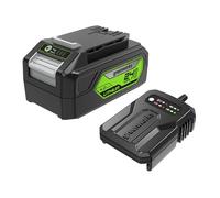 Greenworks Batería y Cargador 24V - Batería y Cargador Greenworks para Herramientas Eléctricas y Jardinería 24V, Salida de 60W y Tiempo de Carga 120 min para Batería Iones de Litio 4Ah - G24B4 & G24UC