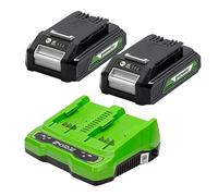 Greenworks Baterías 24V 2Ah y Cargador Doble - Dos Baterías Originales de Iones de Litio y Cargador Doble, Apto para Herramientas Eléctricas y de Jardinería 24V - GSK24B2X