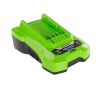 Greenworks Cargador de Batería 40V 2A - Cargador Greenworks 40V para Herramientas Eléctricas y Jardinería, Carga 1 Batería de 2Ah en 60 min, Compatible con Baterías de 40V, Garantía de 3 Años - G40C