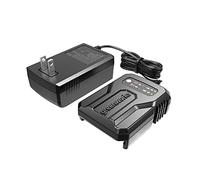 Greenworks Cargador de batería Compacto de 24 V (Cargador Greenworks Original)