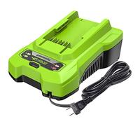 Greenworks Cargador de batería de 40 V (Cargador Greenworks Original)