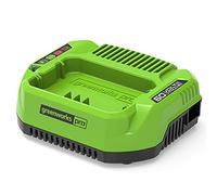 Greenworks Cargador de batería G60UC - salida Li-Ion 60V 120W/2A apto para la serie Greenworks 60V