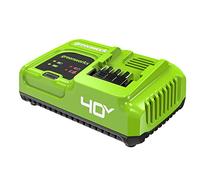 Greenworks Cargador rápido de 40 V 5 A, para Todas Las baterías Greenworks de 40 V